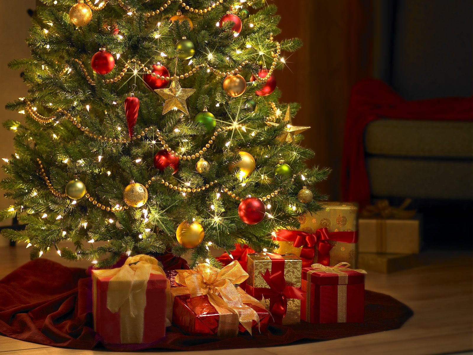 Como a árvore de natal tornou-se o símbolo do natal – Vitória Christmas